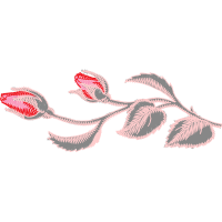 Giant Pacific Octopus Flowers