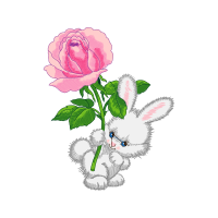 Gif Flowers Gif Flowers