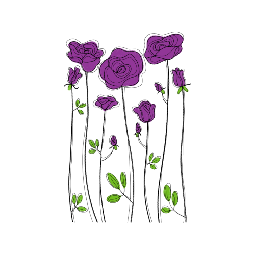 Gillyflower Flowers Gillyflower Flowers