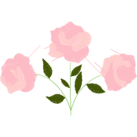 Glaucous Dog Rose Flowers