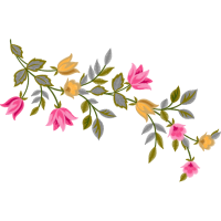 Glaucous Dog Rose Flowers Glaucous Dog Rose Flowers