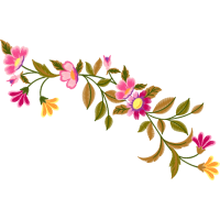 Glaucous Dog Rose Flowers