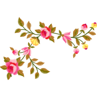 Glaucous Dog Rose Flowers