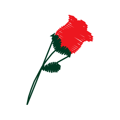 Graphic Flowers Graphic Flowers