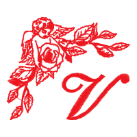 Graphic Flowers Graphic Flowers