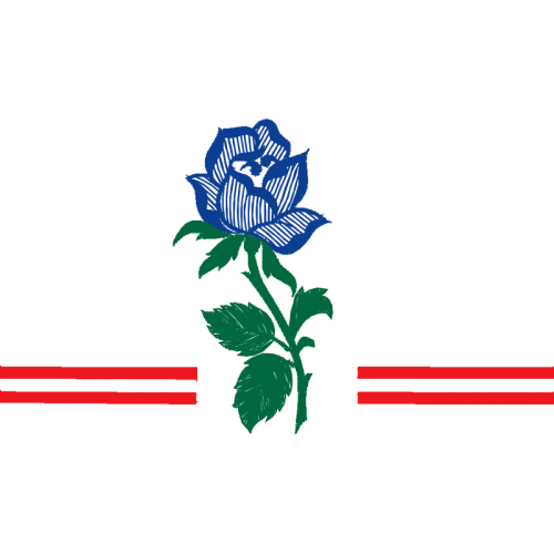 Graphic Flowers Graphic Flowers