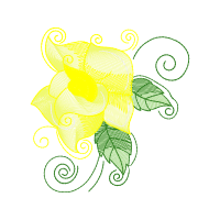 Graphic Flowers Graphic Flowers