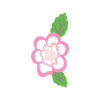 Hibiscus Flowers Hibiscus Flowers