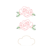 Hybrid Tea Rose Flowers