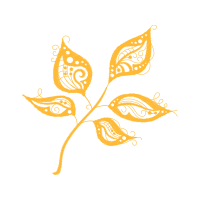 Hybrid Tea Rose Flowers Hybrid Tea Rose Flowers