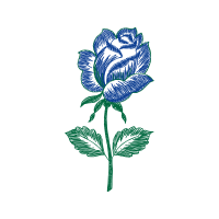 Hybrid Tea Rose Flowers