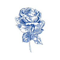 Hybrid Tea Rose Flowers