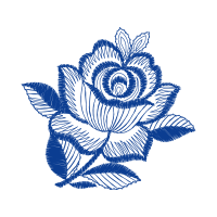 Hybrid Tea Rose Flowers