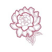 Hybrid Tea Rose Flowers