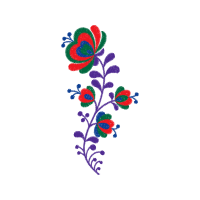 Hybrid Tea Rose Flowers Hybrid Tea Rose Flowers