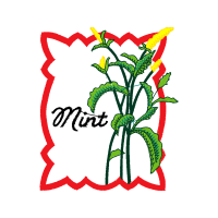 Hybrid Tea Rose Flowers