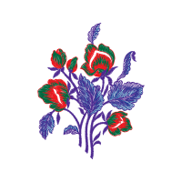 Hybrid Tea Rose Flowers Hybrid Tea Rose Flowers