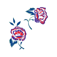 Hybrid Tea Rose Flowers