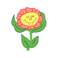 Hybrid Tea Rose Flowers