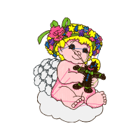 Hybrid Tea Rose Flowers