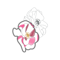 Hybrid Tea Rose Flowers