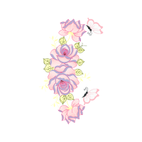 Hybrid Tea Rose Flowers