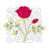 Hybrid Tea Rose Flowers