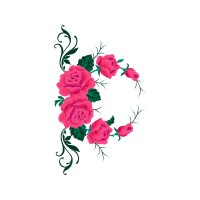 Hybrid Tea Rose Flowers