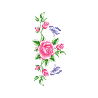 Hybrid Tea Rose Flowers