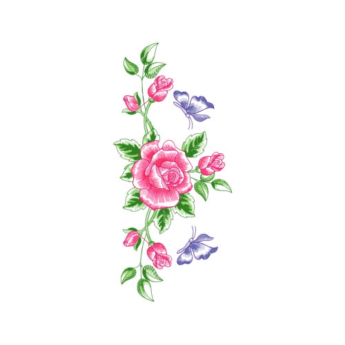 Hybrid Tea Rose Flowers Hybrid Tea Rose Flowers