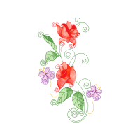 Hybrid Tea Rose Flowers Hybrid Tea Rose Flowers