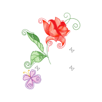 Hybrid Tea Rose Flowers