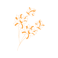 Hybrid Tea Rose Flowers