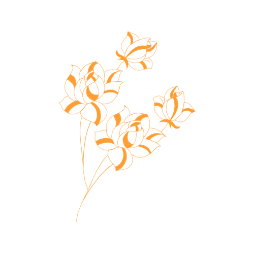 Hybrid Tea Rose Flowers Hybrid Tea Rose Flowers