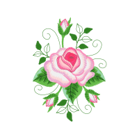 Hybrid Tea Rose Flowers