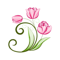 Hybrid Tea Rose Flowers