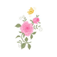 Hybrid Tea Rose Flowers