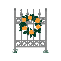 Hybrid Tea Rose Flowers