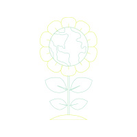 Hybrid Tea Rose Flowers