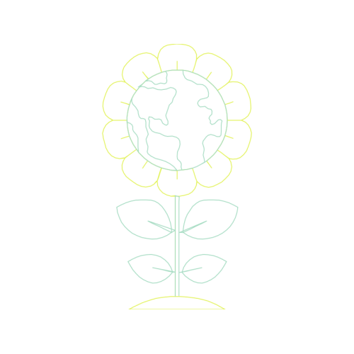 Hybrid Tea Rose Flowers Hybrid Tea Rose Flowers