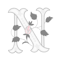 Hybrid Tea Rose Flowers