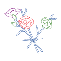 Hybrid Tea Rose Flowers