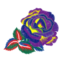 Hybrid Tea Rose Flowers