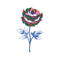 Hybrid Tea Rose Flowers