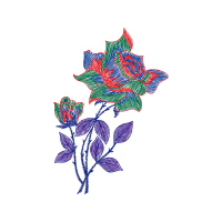 Hybrid Tea Rose Flowers