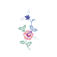 Hybrid Tea Rose Flowers