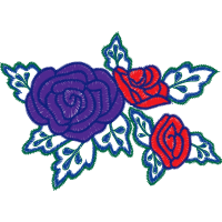 Hybrid Tea Rose Flowers