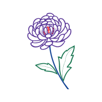 Hybrid Tea Rose Flowers