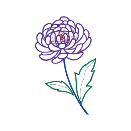 Hybrid Tea Rose Flowers Hybrid Tea Rose Flowers