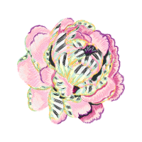 Hybrid Tea Rose Flowers Hybrid Tea Rose Flowers